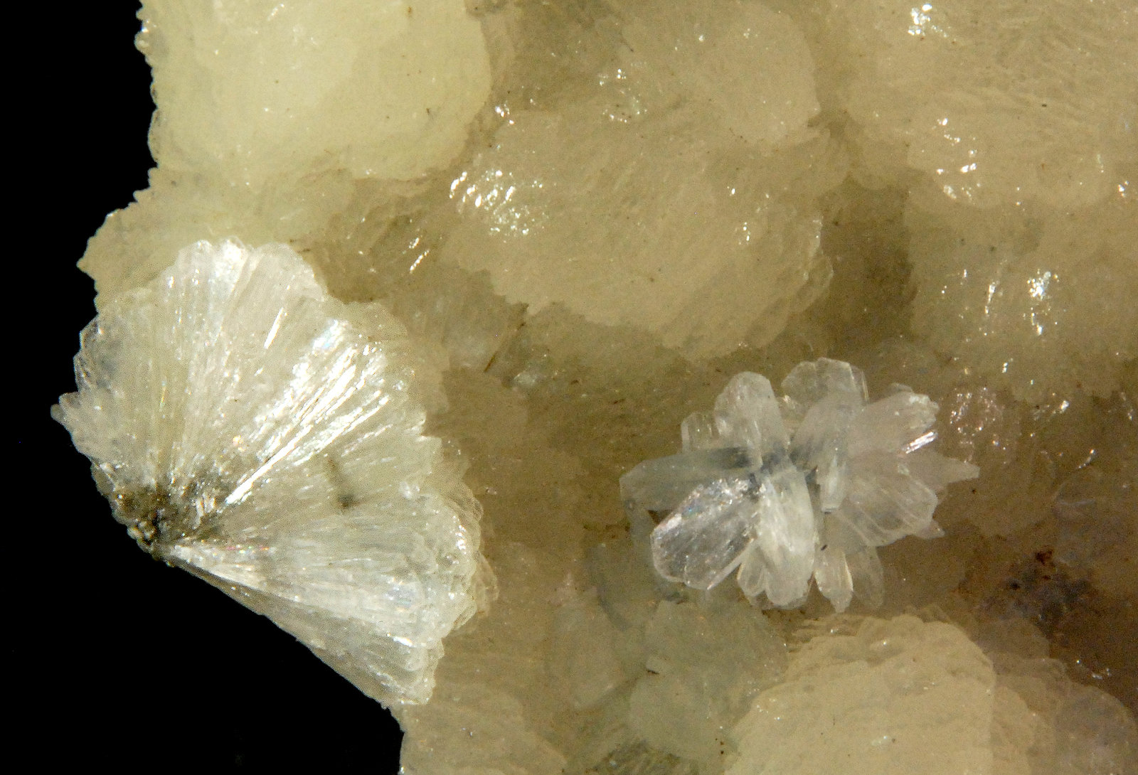 Stilbite (Subgroup)
6.0 x 4.0 cm
(Autor: Michael Shaw)
