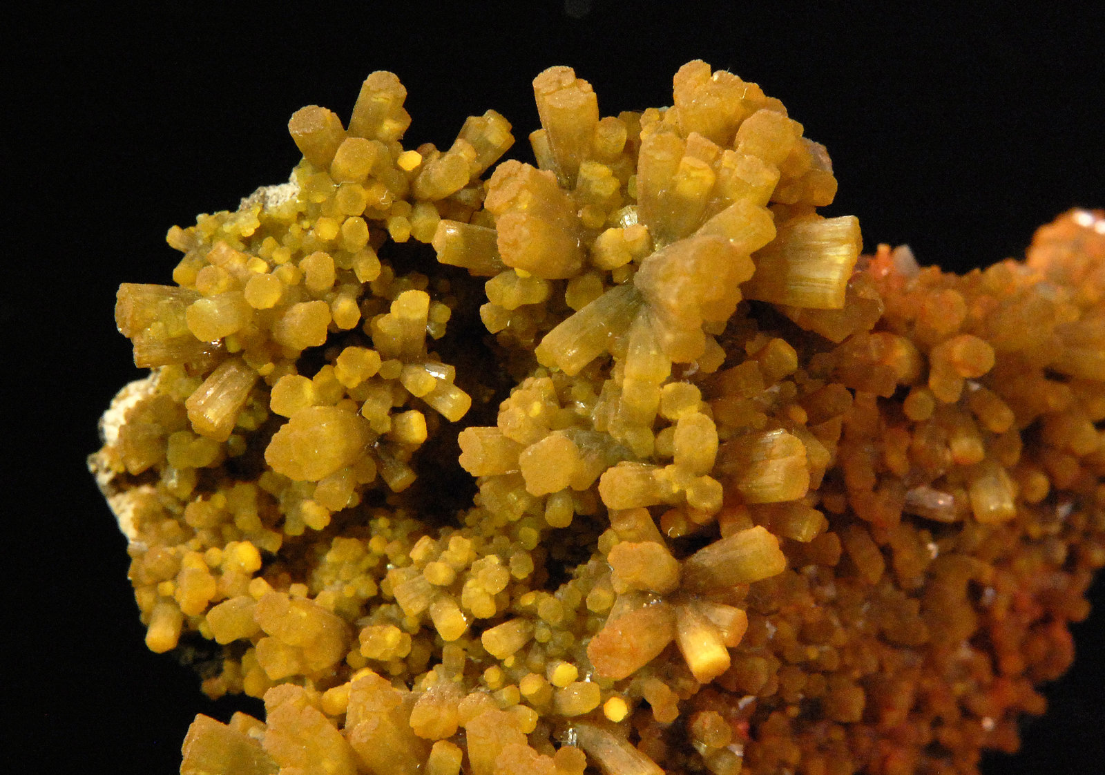 Pyromorphite
4.8 × 3.9 × 2.2 cm
(Autor: Michael Shaw)