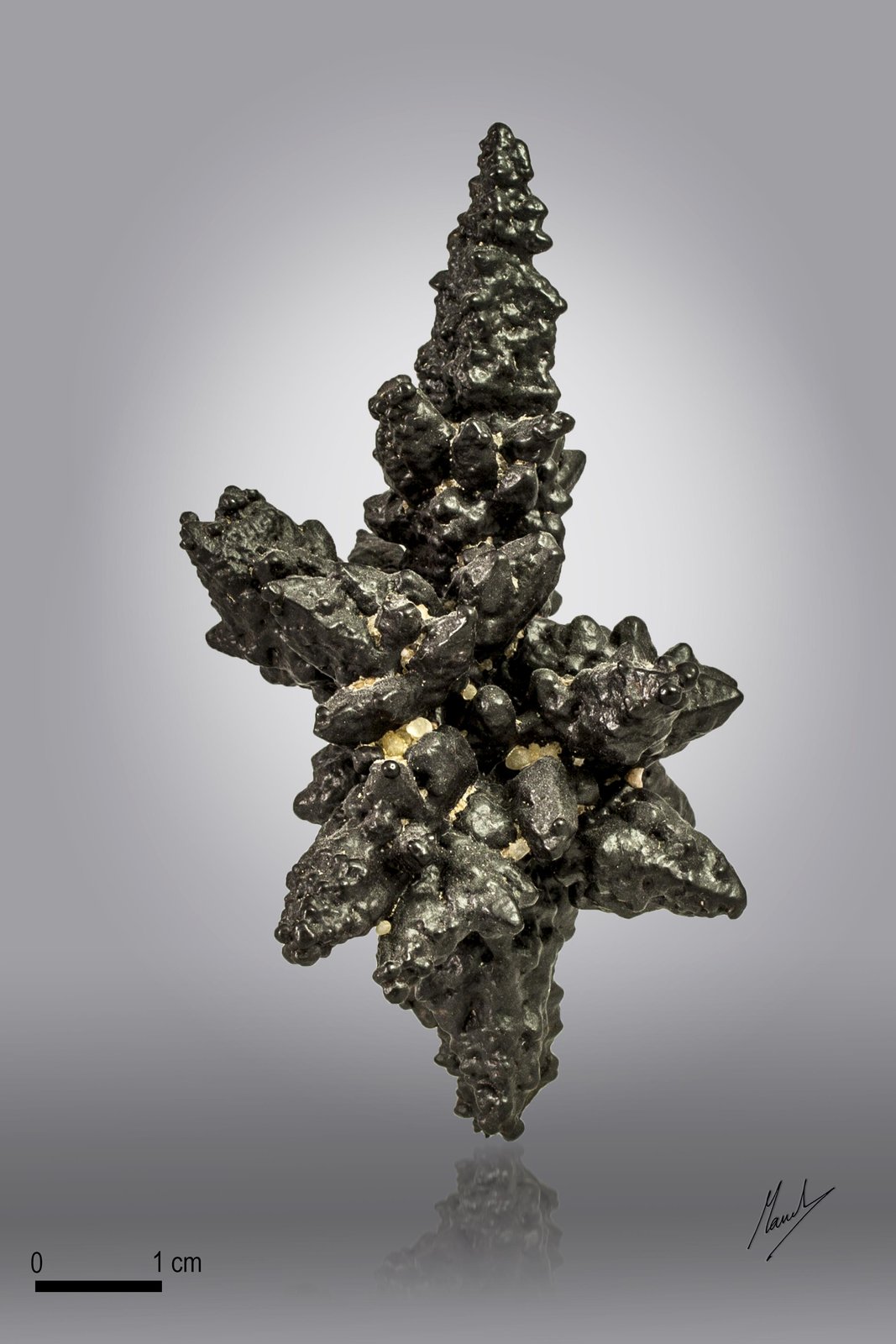Hematite
79 x 40 mm
(Autor: Manuel Mesa)