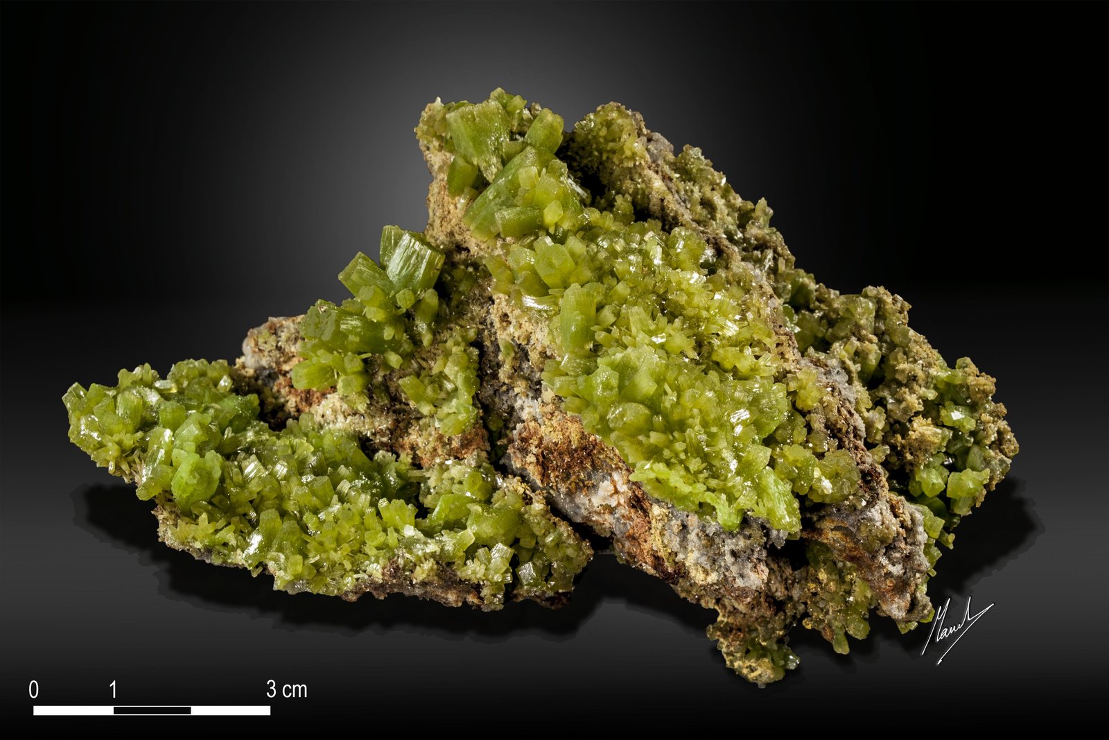 Pyromorphite
117 X 67 mm
(Autor: Manuel Mesa)