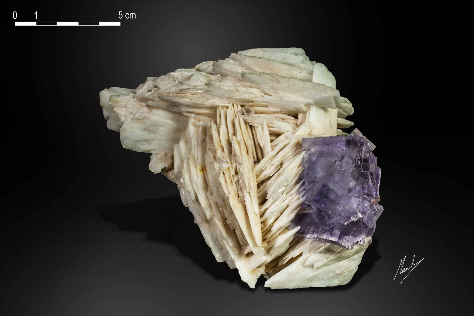 Fluorite on Baryte
138 X 88 mm
(Autor: Manuel Mesa)