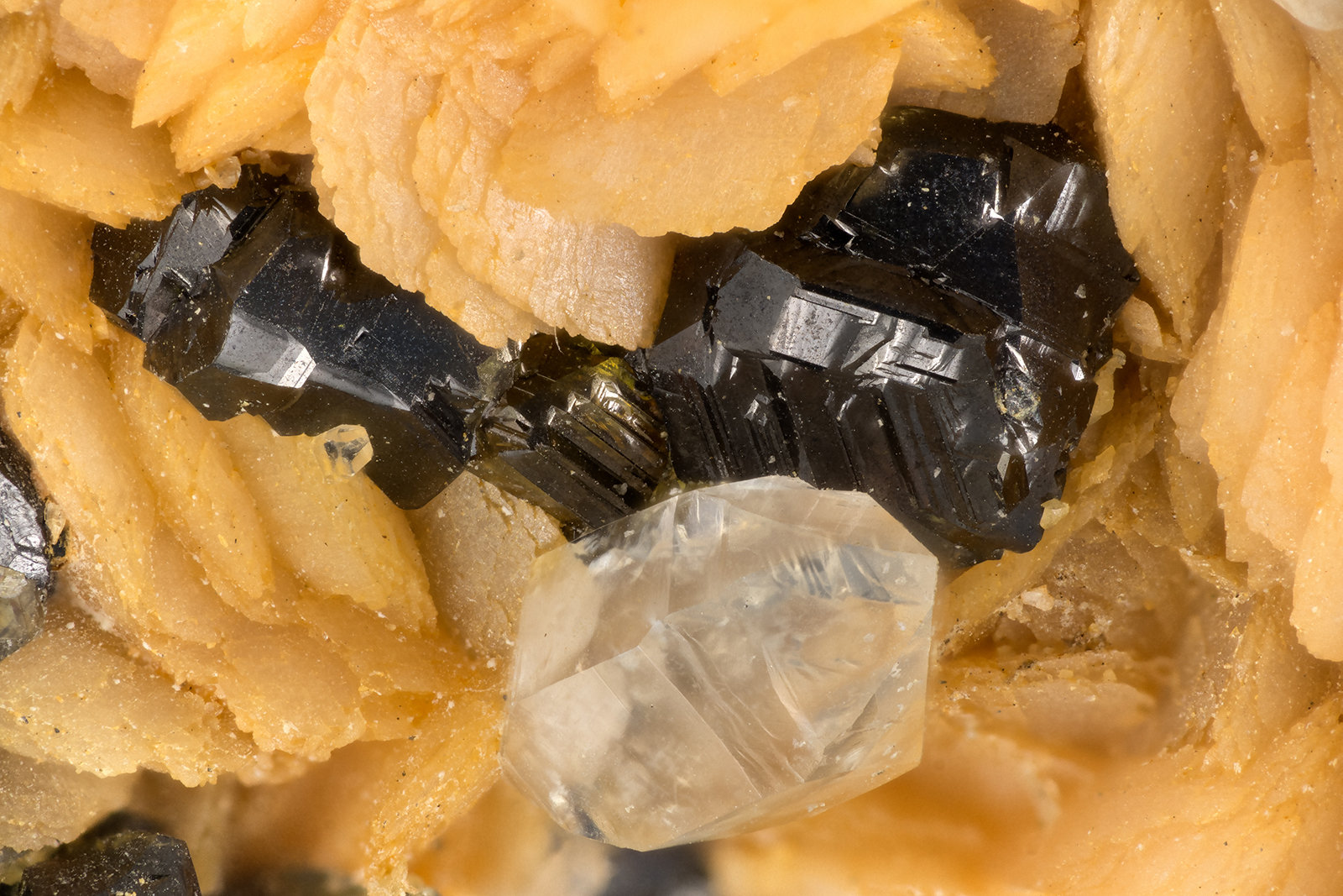 Sphalerite, Siderite, Quartz
(Autor: Doug)