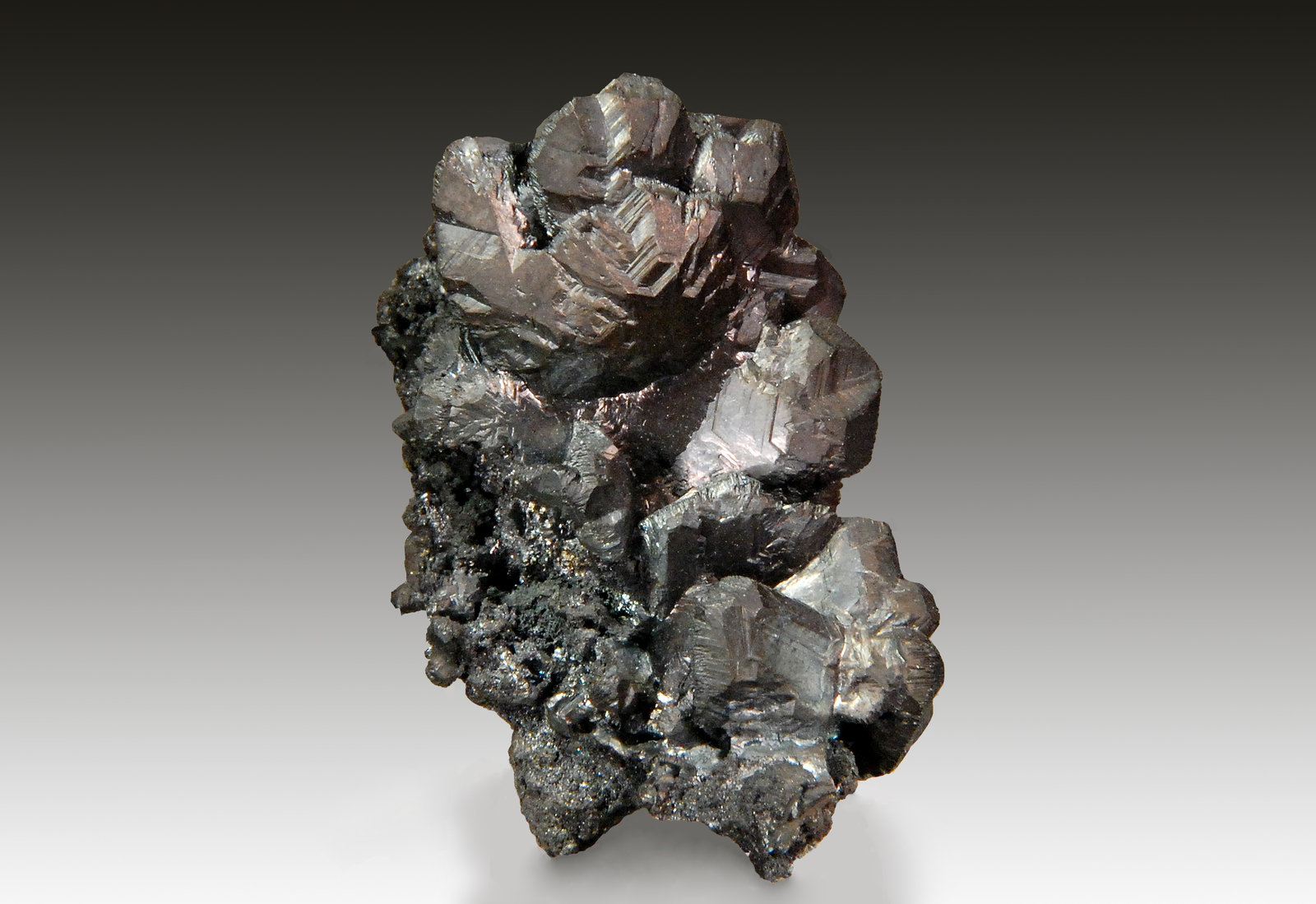 Chalcocite
3.7 x 2.9 x 2.2 cm
(Autor: Michael Shaw)