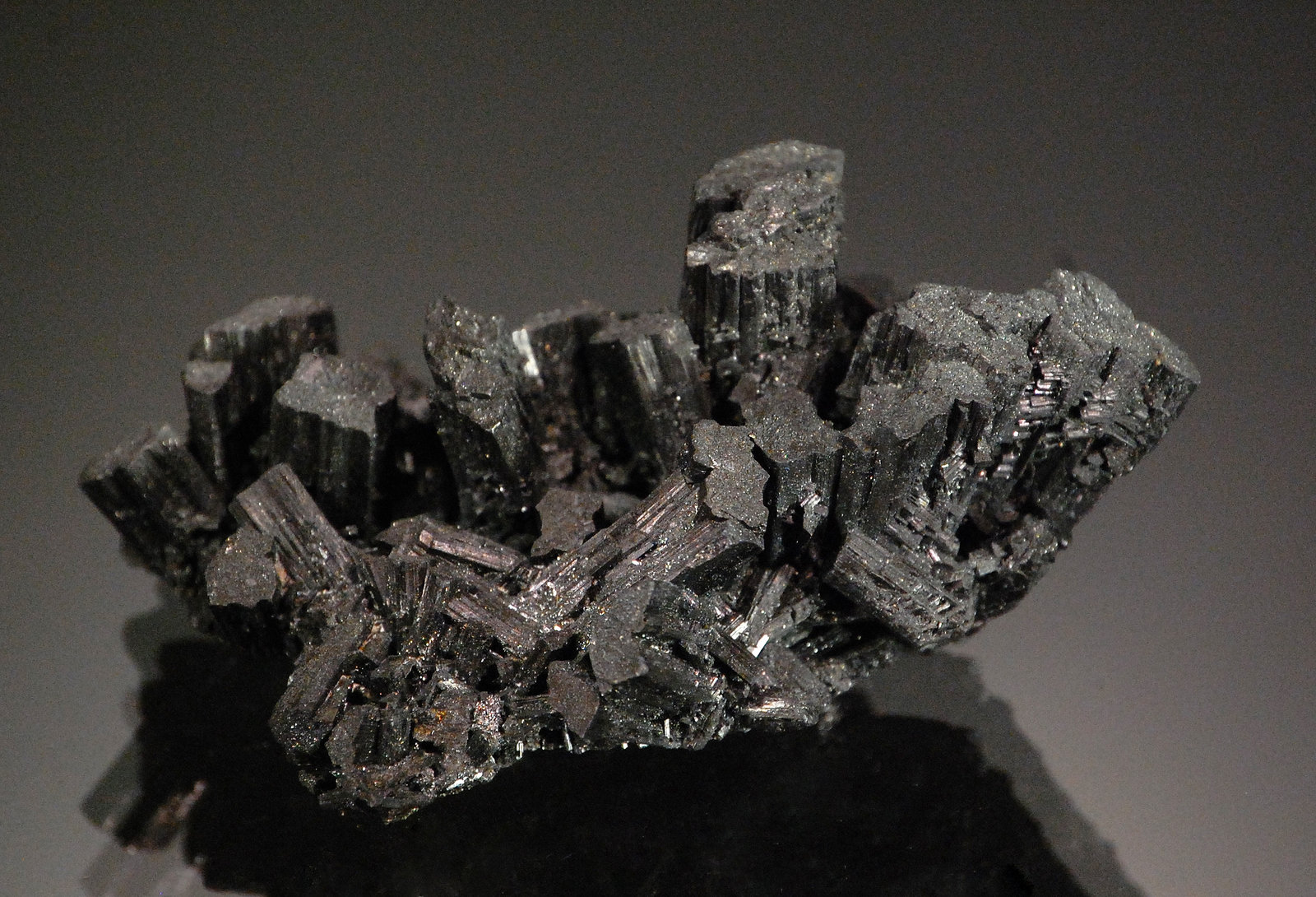 Enargite
6.2 x 3.8 x 2.9 cm
(Autor: Michael Shaw)