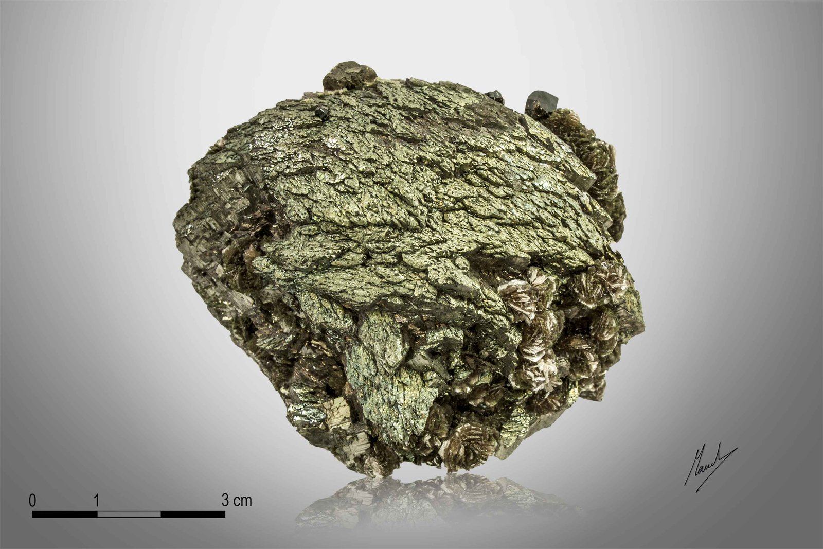 Arsenopyrite
77 X 64 mm
(Autor: Manuel Mesa)