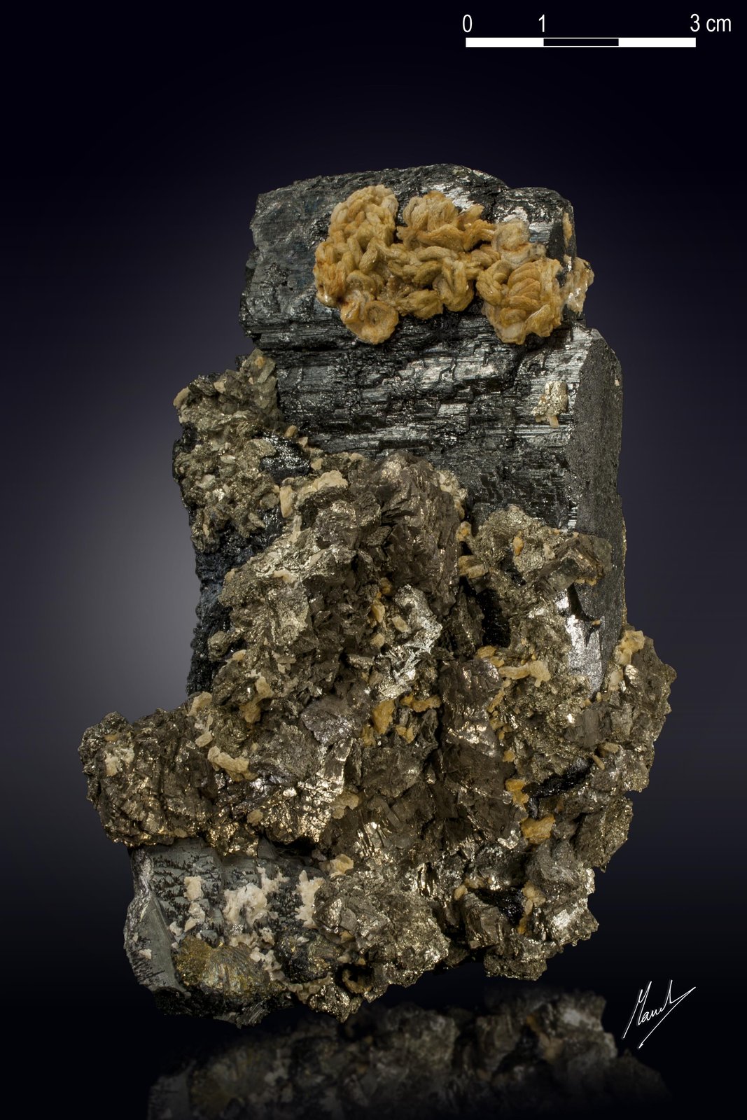 Ferberite, Siderite, Arsenopyrite and Pyrite
110 X 64 mm
(Autor: Manuel Mesa)