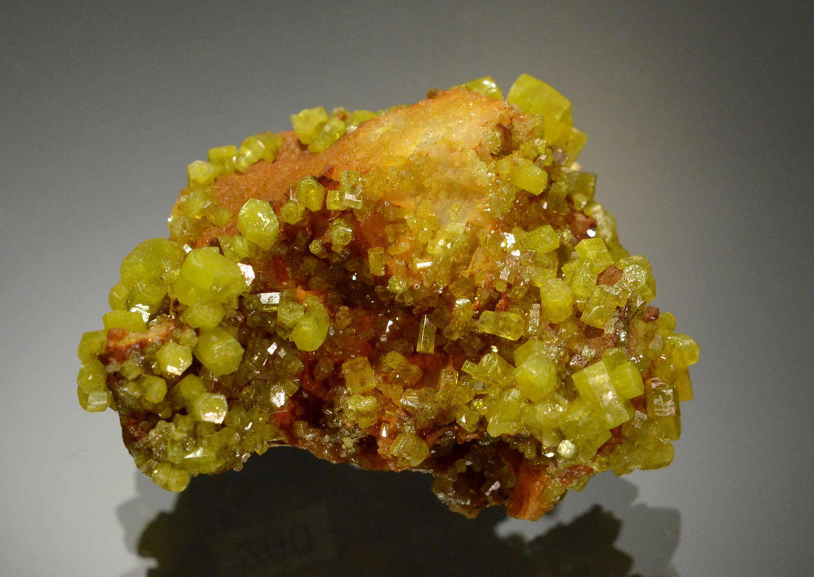 Pyromorphite
3.6 x 2.7 cm
(Autor: Michael Shaw)