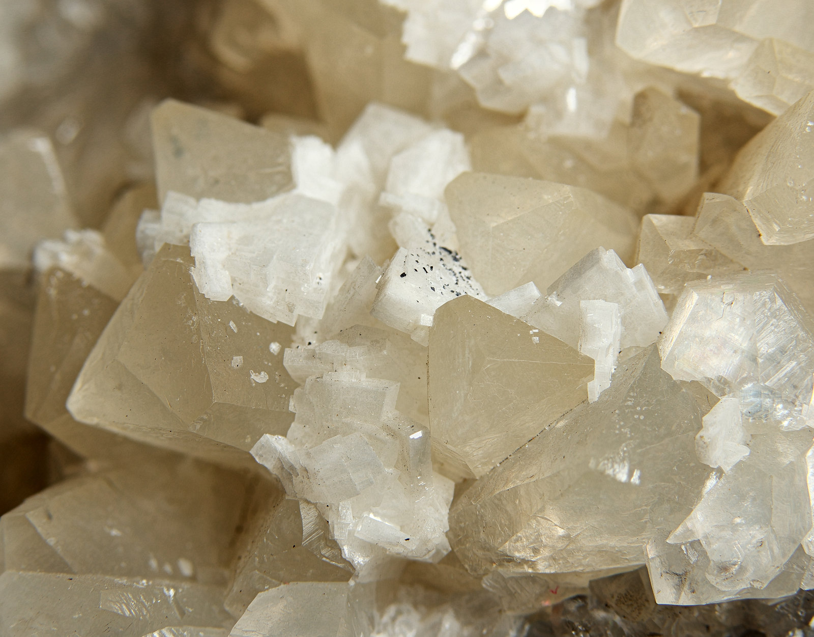 Baryte, Calcite 
Field of view 25 mm
(Autor: Andy Lawton)