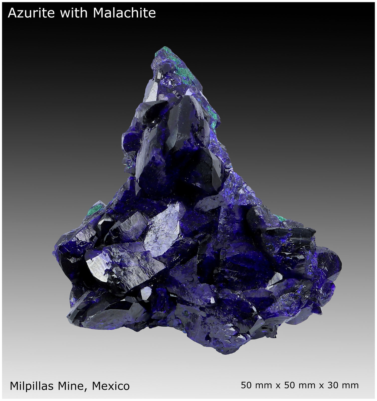 Azurite with Malachite
50 mm x 50 mm x 30 mm
(Autor: silvia)