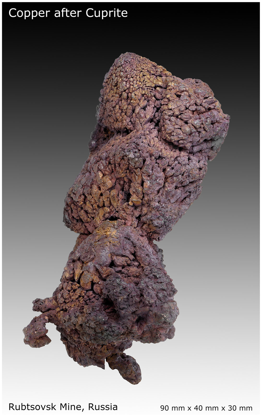 Copper
90 mm x 40 mm x 35 mm
(Autor: silvia)