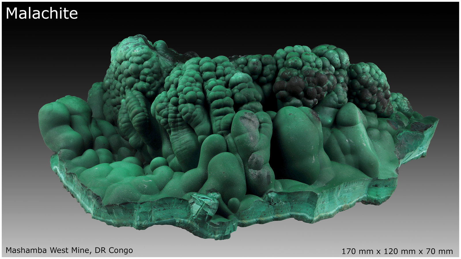 Malachite
170 mm x 120 mm x 70 mm
(Autor: silvia)