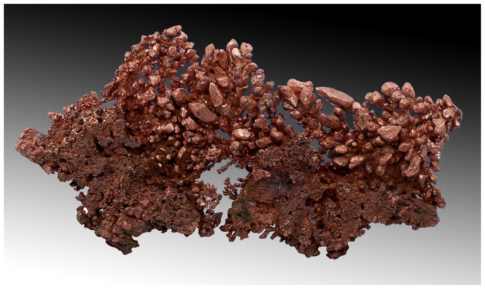 Copper
15 cm x 7 cm x 3 cm
(Autor: silvia)