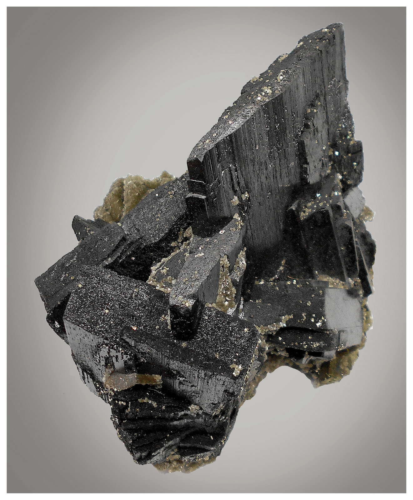 Ferberite, Chalcopyrite, Pyrite, Muscovite
14 cm x 10 cm x 10 cm
(Autor: silvia)