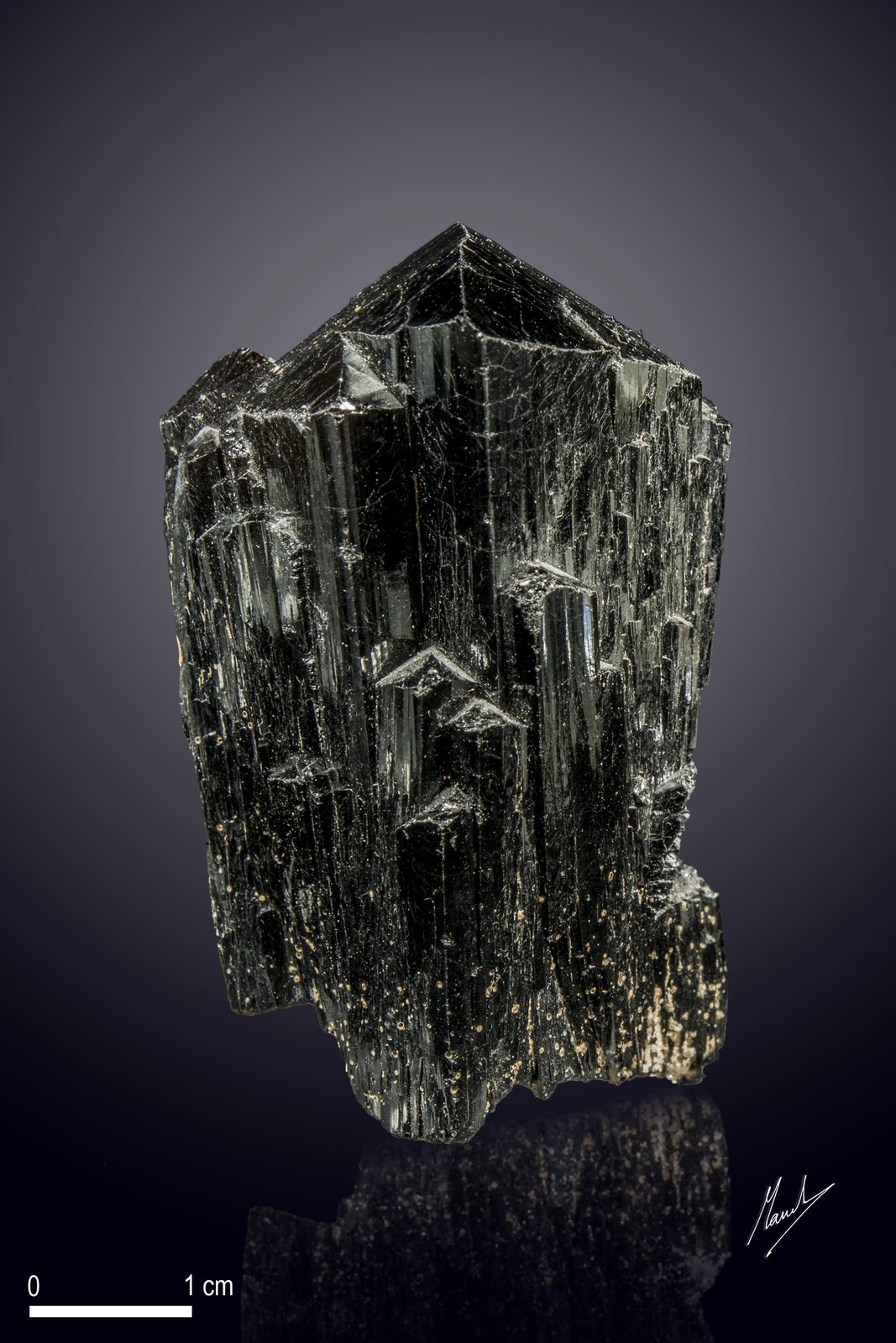 Ilvaite
50 X 34 mm
(Autor: Manuel Mesa)