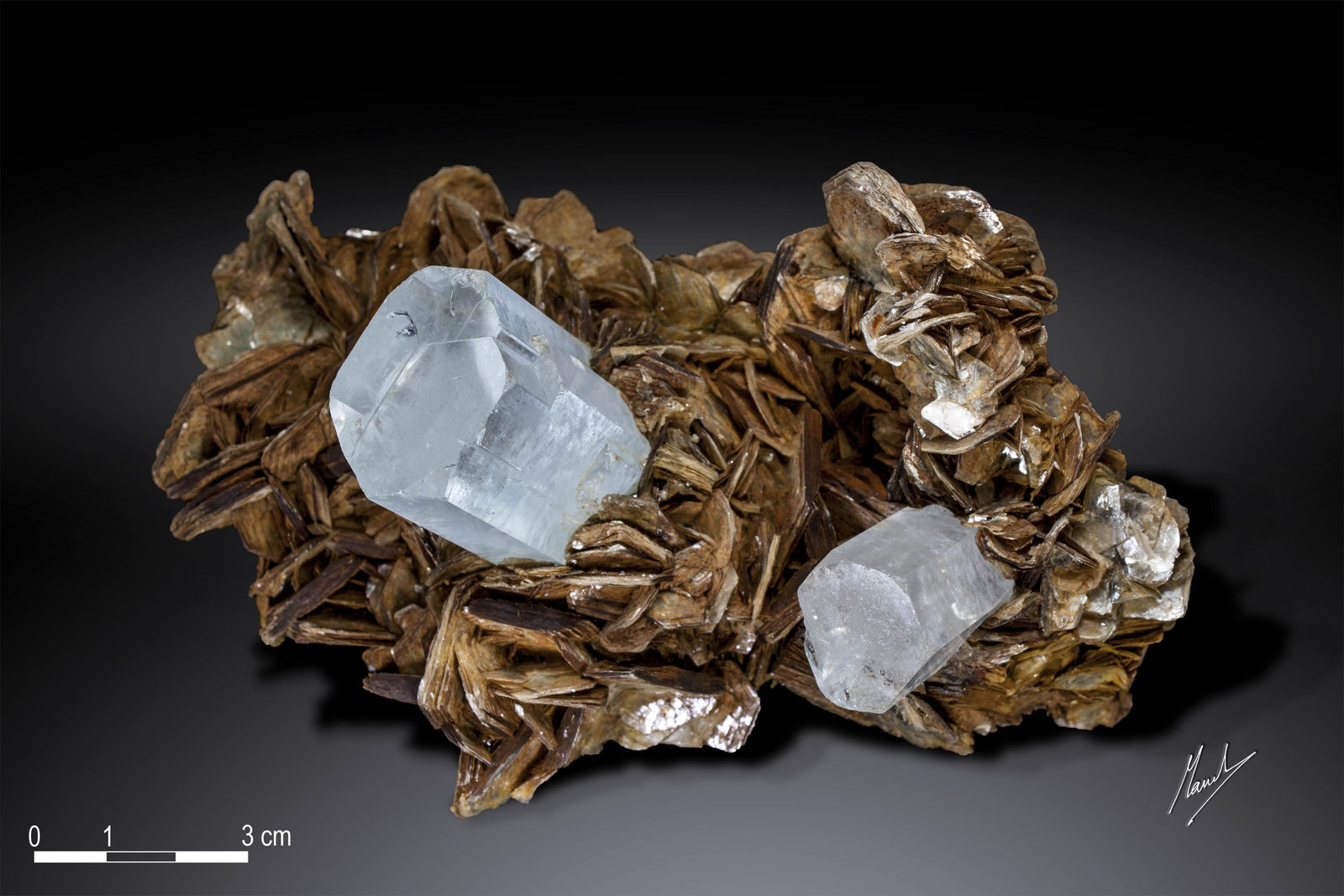 Beryl (variety aquamarine)
145 x 103 mm
(Autor: Manuel Mesa)