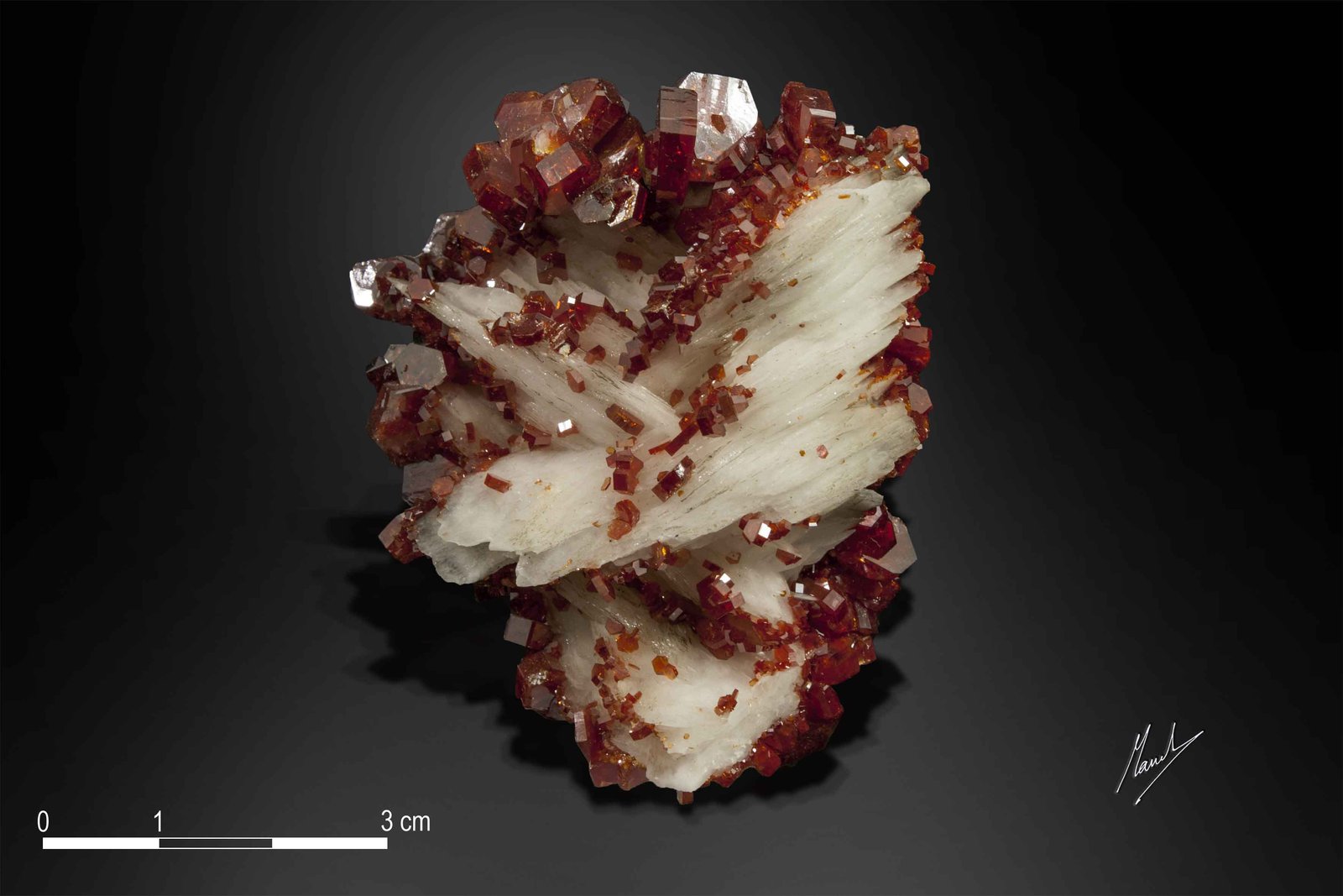 Vanadinite on Barite
63 X 53 mm
(Autor: Manuel Mesa)