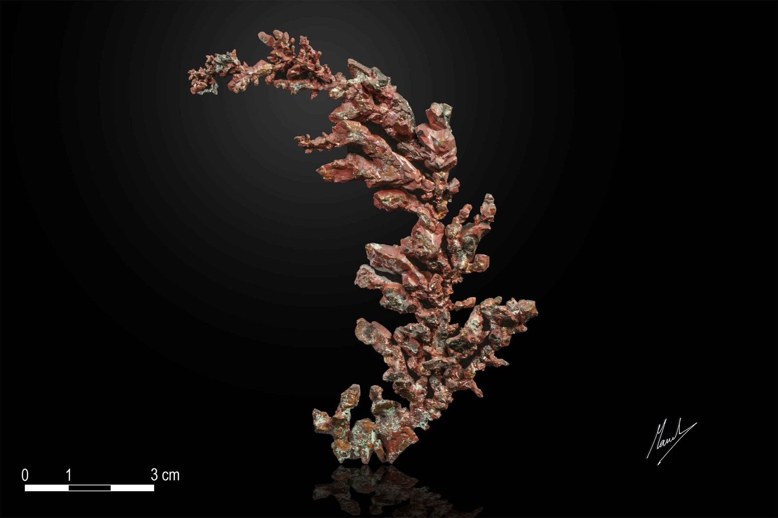 Copper
105 x 40 mm
(Autor: Manuel Mesa)