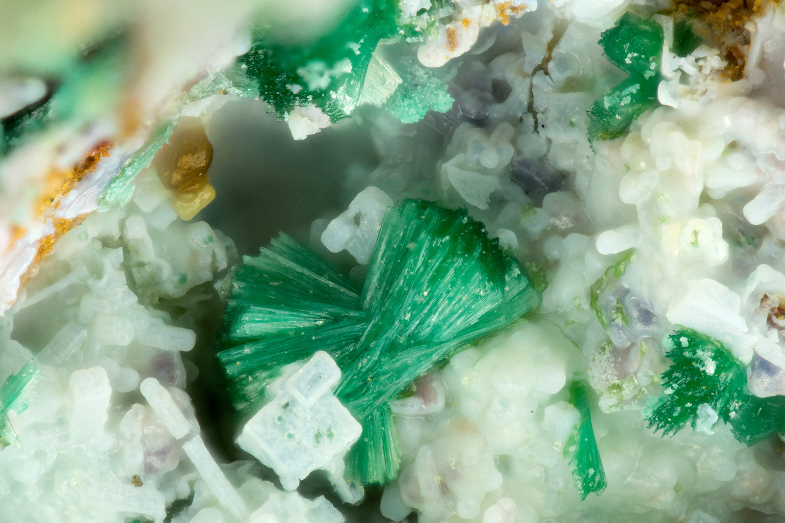 Parnauite
FOV = 1.6 mm
(Autor: Doug)
