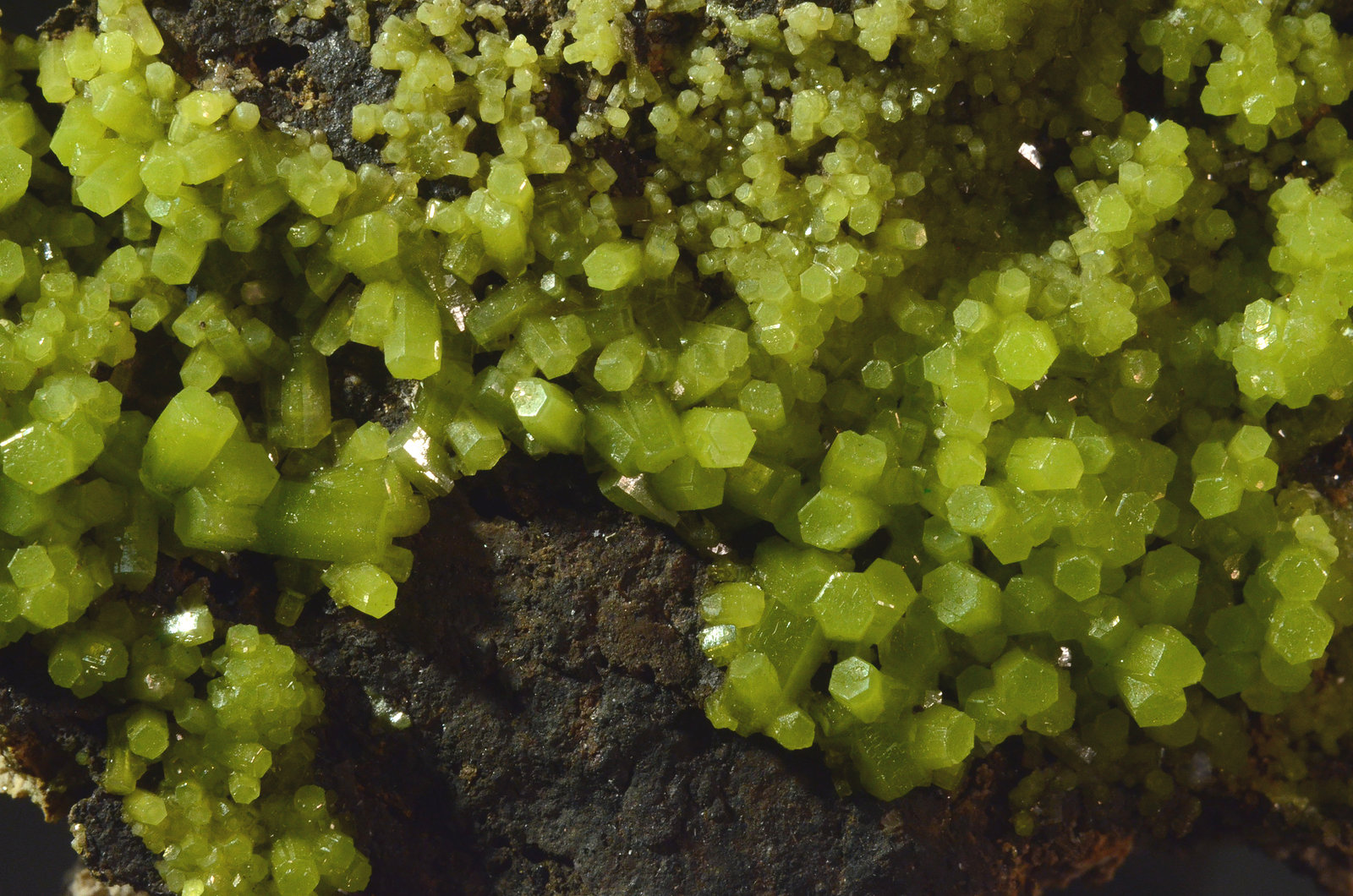 Pyromorphite
6.0 x 4.1 x 2.2 cm
(Autor: Michael Shaw)