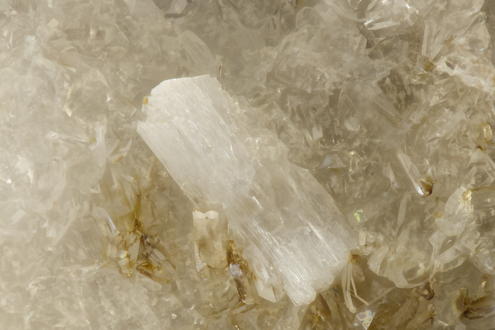 Laumontite
FOV = 1.3 mm
(Autor: Doug)
