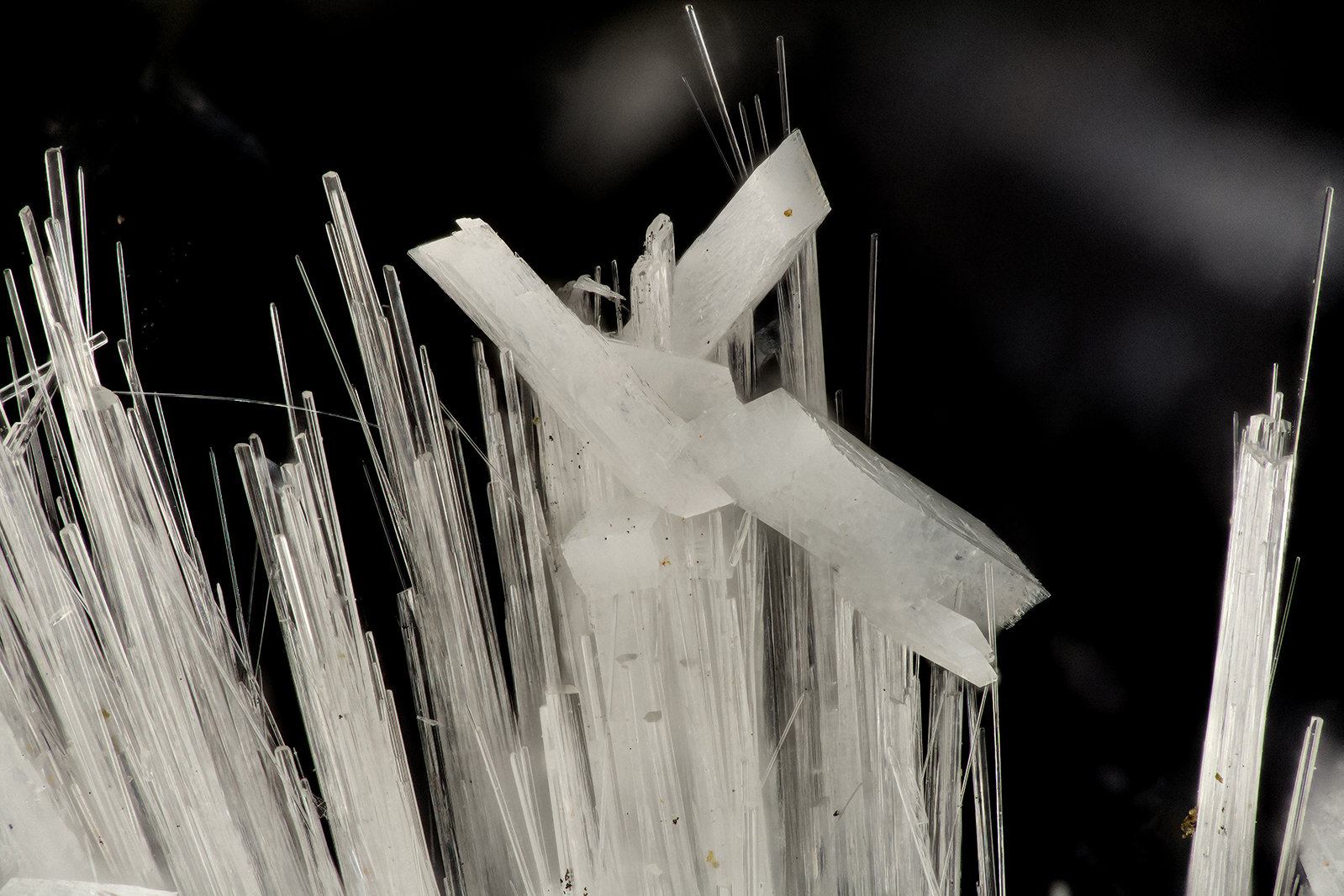 Laumontite, Scolecite
FOV = 3.9 mm
(Autor: Doug)