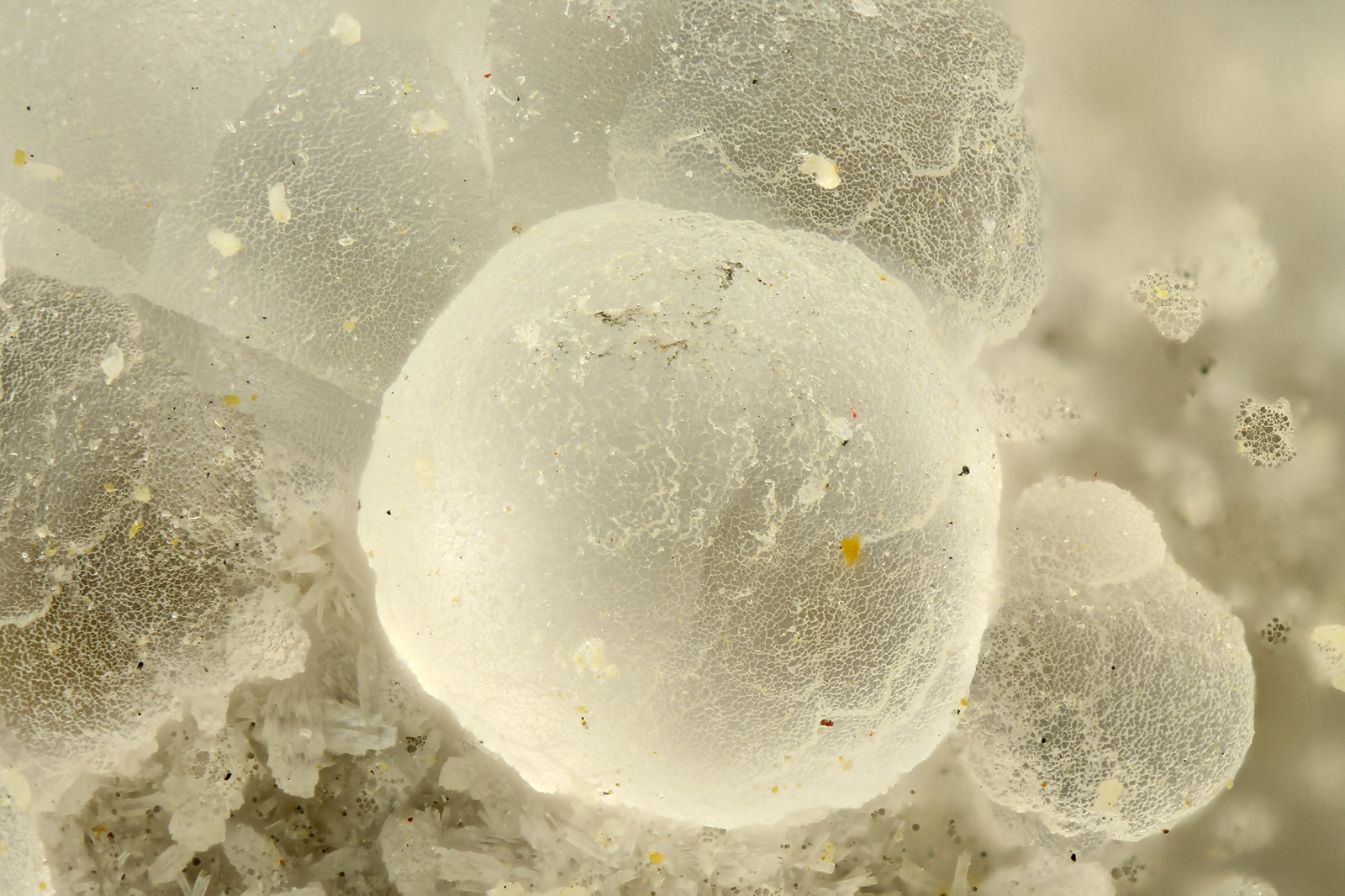 Erionite
FOV = 1.5 mm
(Autor: Doug)