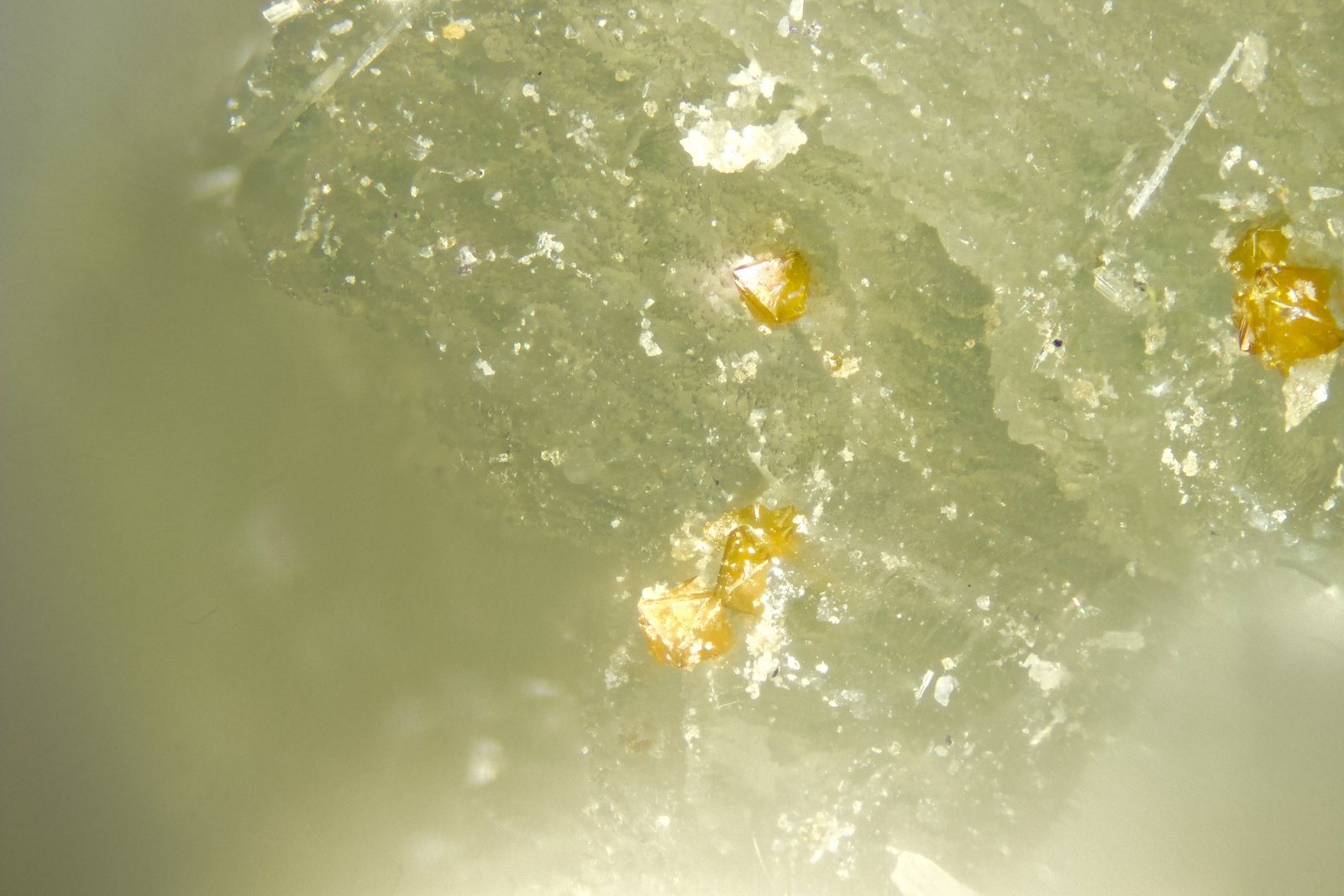 Andradite
FOV = 2mm
(Autor: Doug)