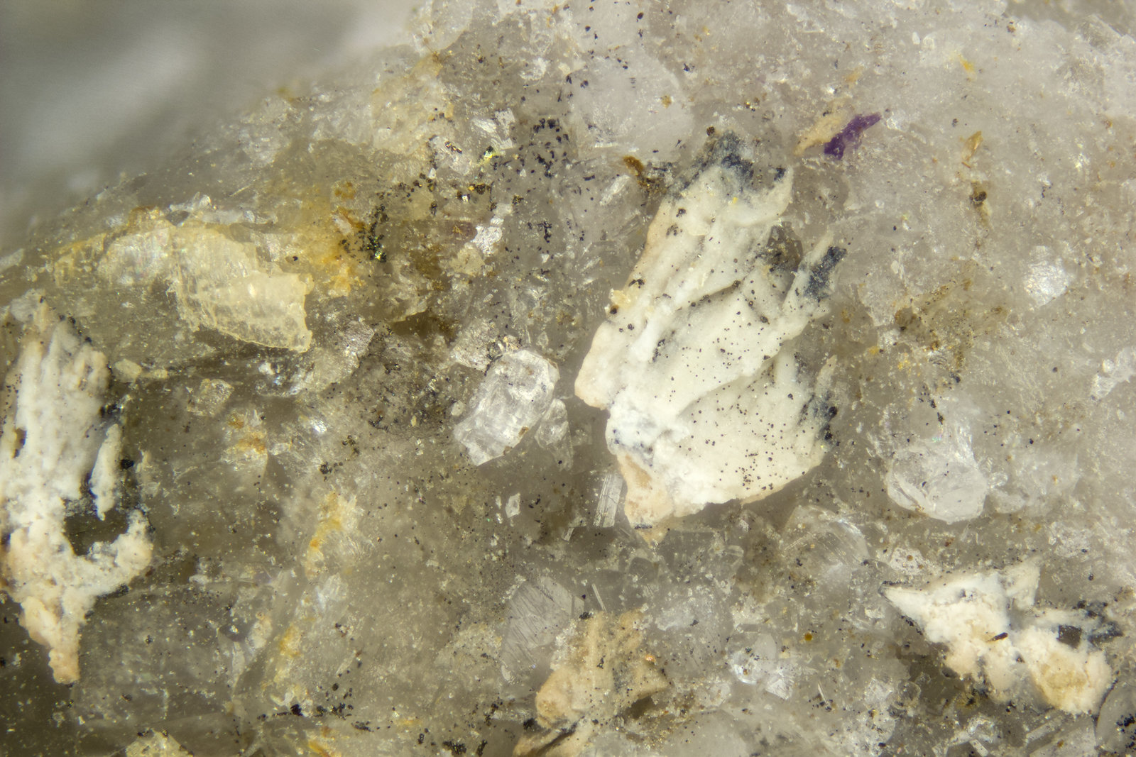 Kukharenkoite-(Ce)
FOV = 2mm
(Autor: Doug)