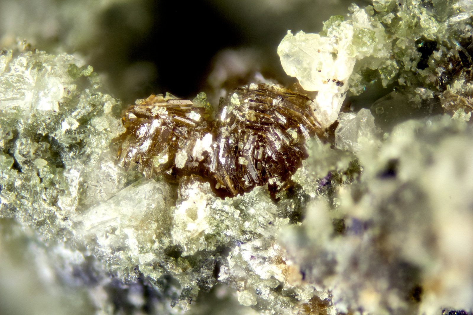 Labuntsovite-(Mn)
FOV = 2mm
(Autor: Doug)