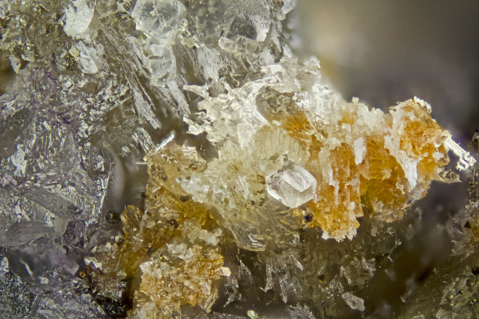 Penlvilksite
FOV = 2mm
(Autor: Doug)