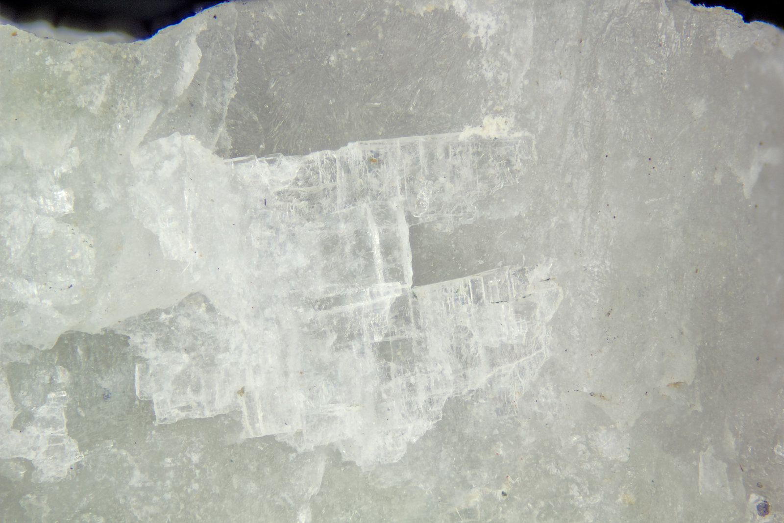 Searlesite
FOV = 4mm
(Autor: Doug)