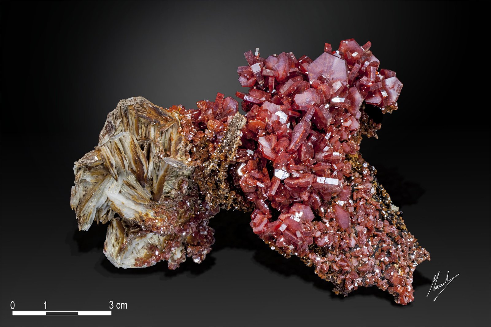 Vanadinite on Barite
114 x 72 mm
(Autor: Manuel Mesa)