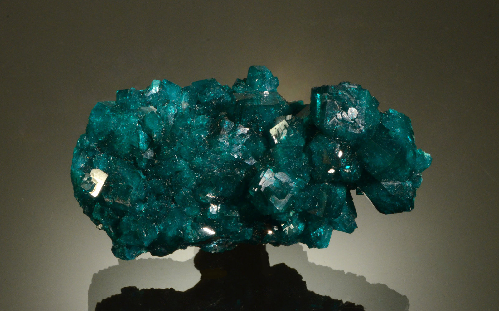 Dioptase
5.2 x 3.1 x 2.3 cm
(Autor: Michael Shaw)