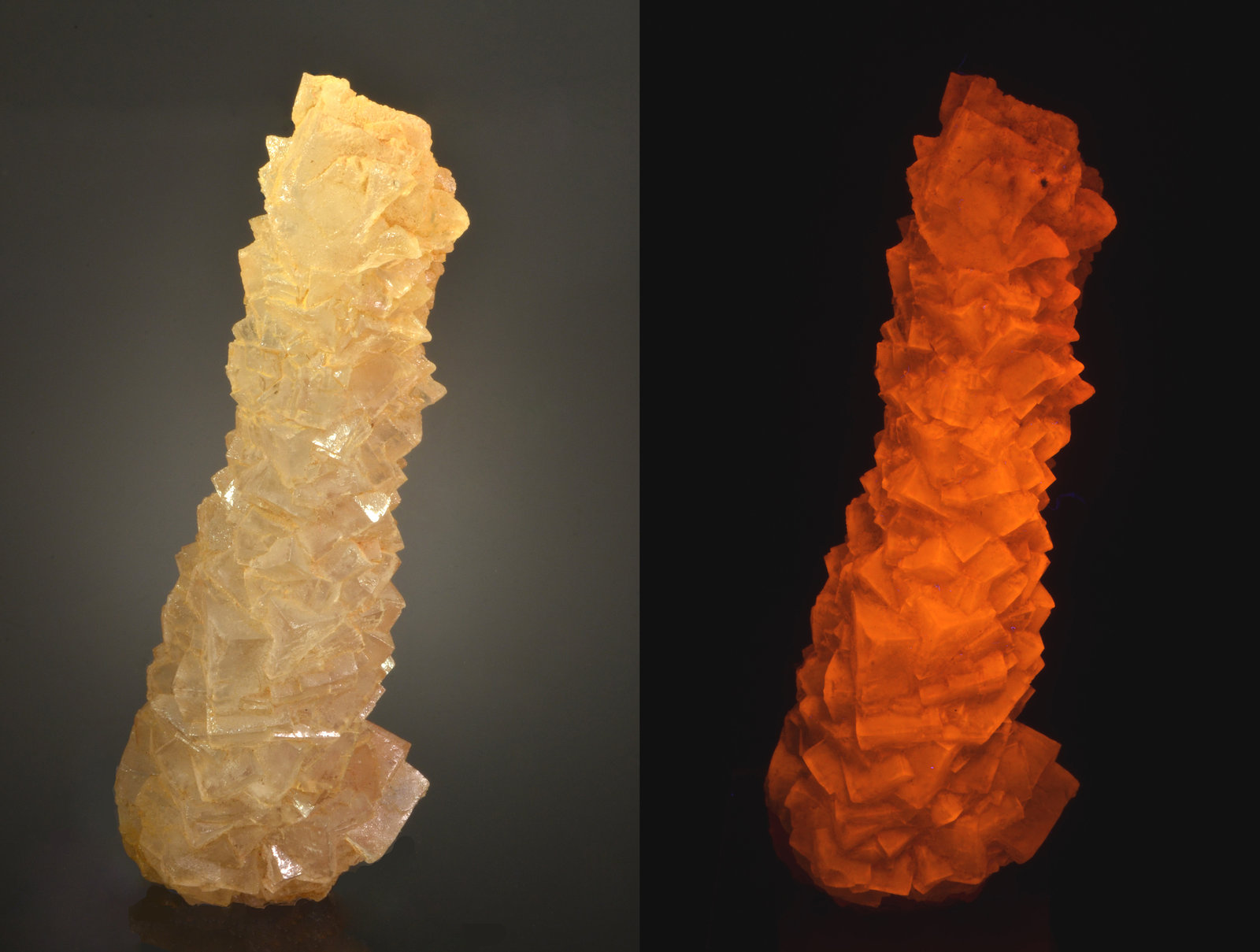 Halite
12.4 x 4.3 x 3.0  cm
(Autor: Michael Shaw)