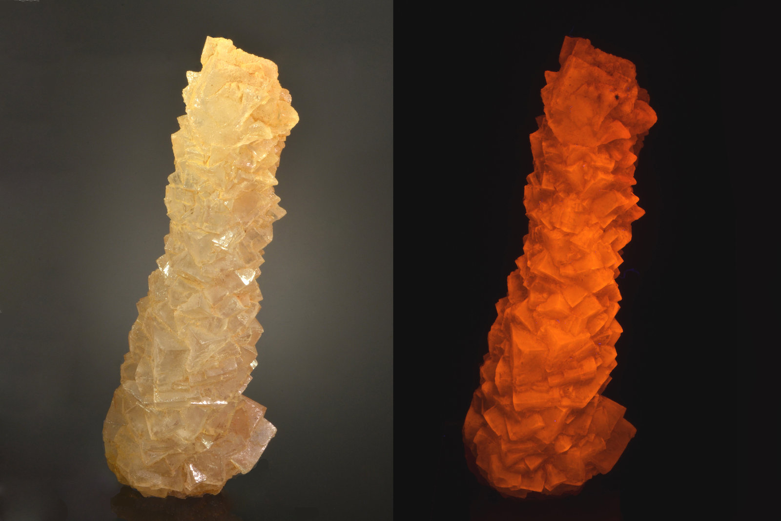 Halite
12.4 x 4.3 x 3.0 cm
(Autor: Michael Shaw)