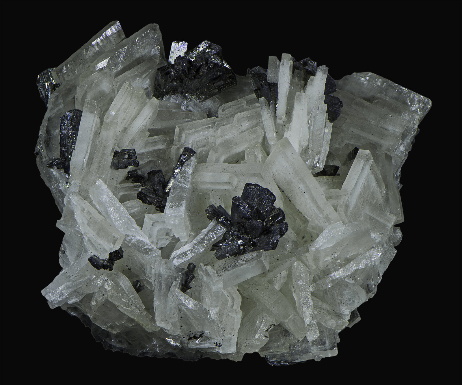 Baryte with Stibnite
60 x 50 x 30 mm
(Autor: Rob Schnerr)