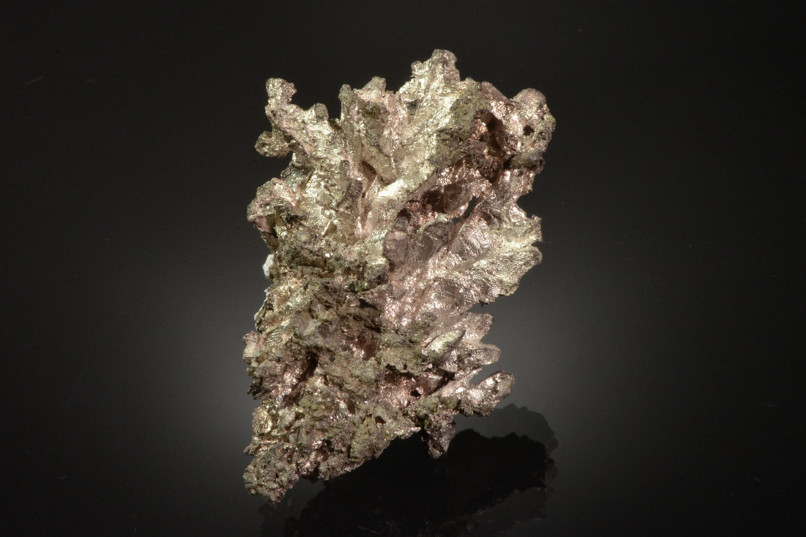 Silver
5.5 x 4.0 x 1.8 cm
(Autor: Michael Shaw)