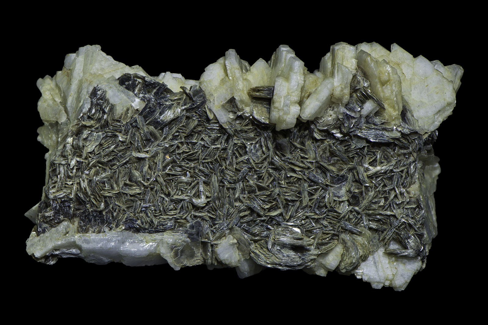 Albite (variety pericline)
75 x 40 x 35 mm
(Autor: Rob Schnerr)