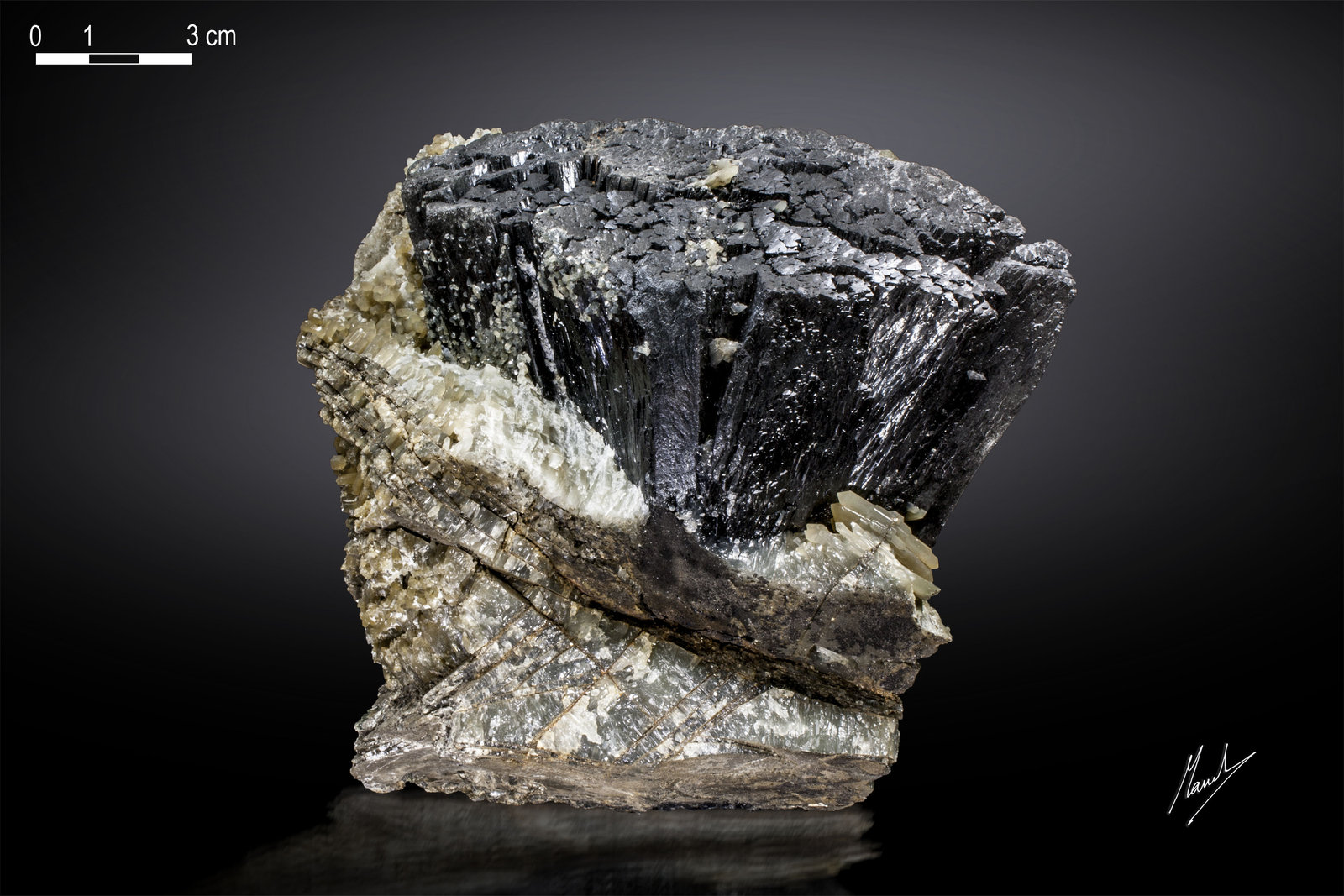 Ilvaite with Quartz
148 x 132 mm
(Autor: Manuel Mesa)