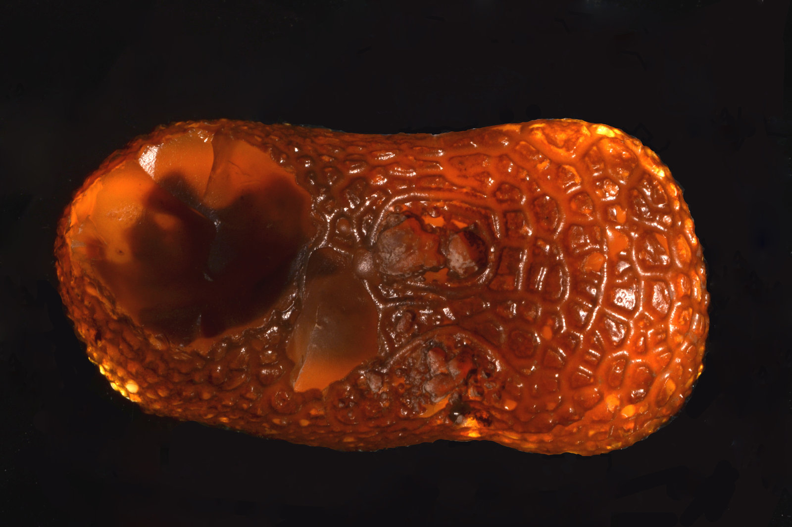 Chalcedony
(Autor: Michael Shaw)