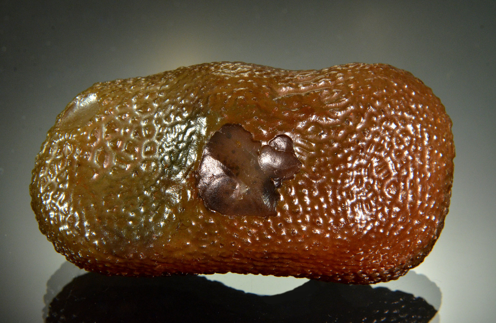 Chalcedony
7.4 x 3.6 x 2.5 cm
(Autor: Michael Shaw)