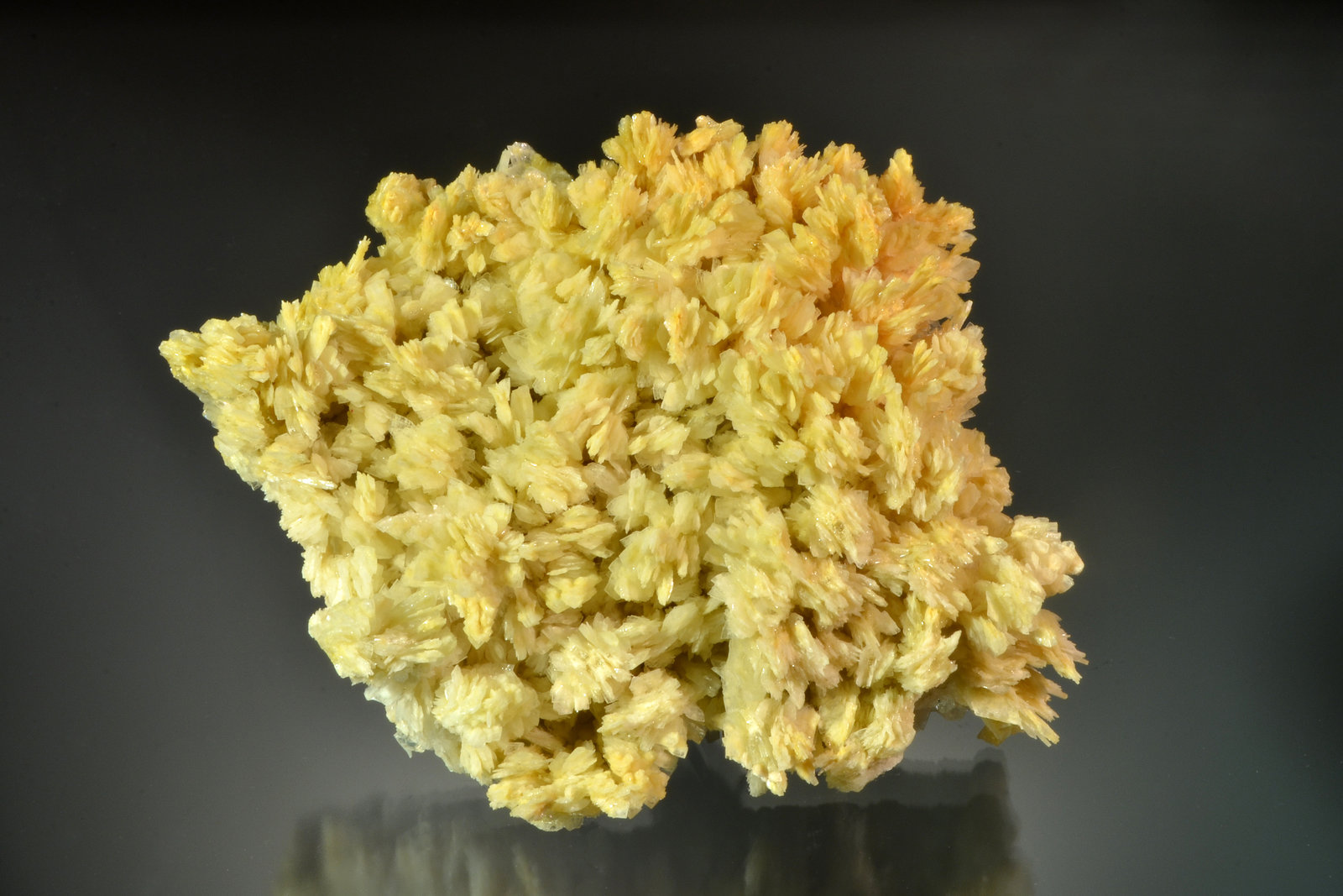 Barite
12.0 x 9.0 x 3.0 cm
(Autor: Michael Shaw)