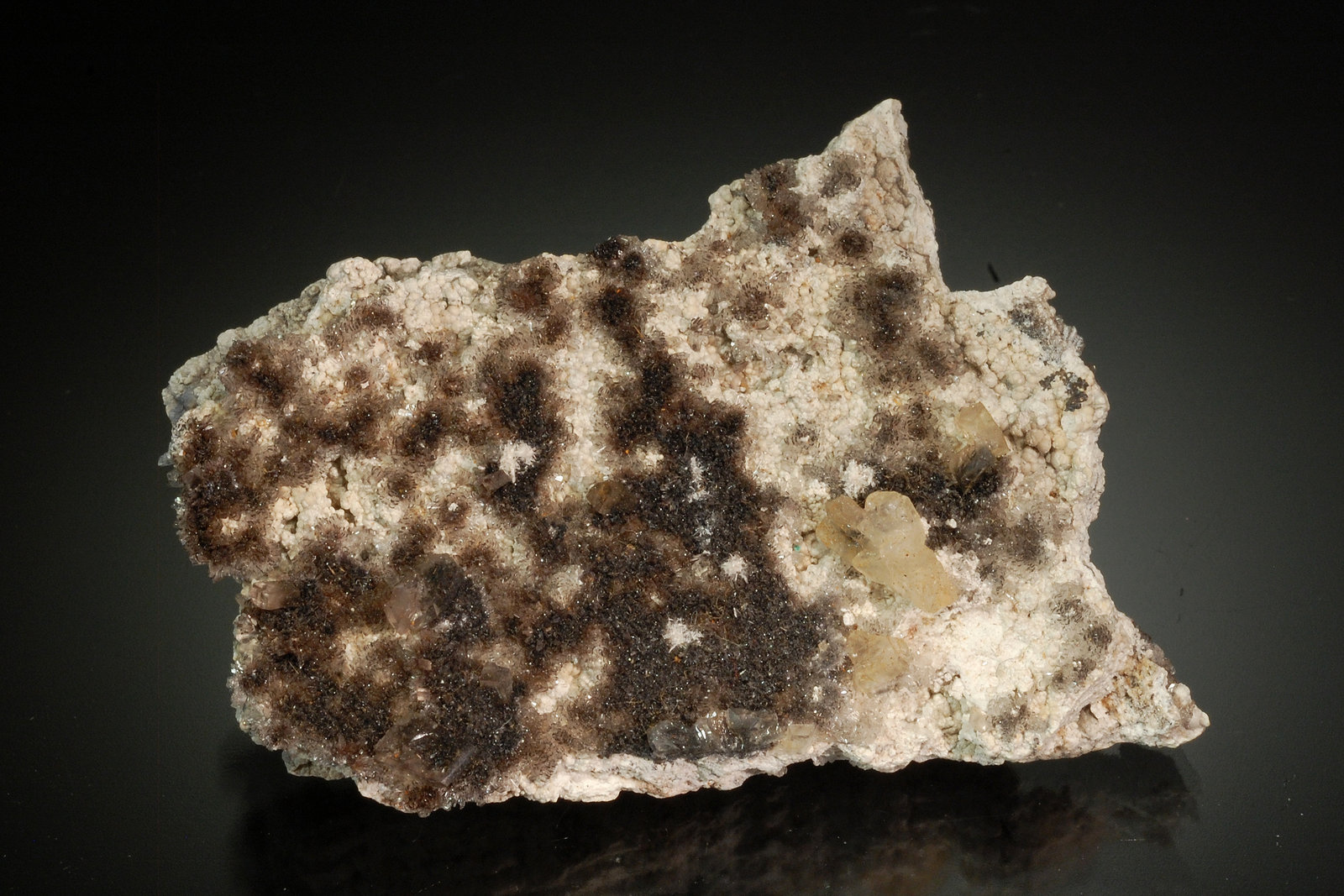 Hydrozincite, Plattnerite, Hemimorphite, Calcite
5.8 x 3.9 x 1.8 cm
(Autor: Michael Shaw)