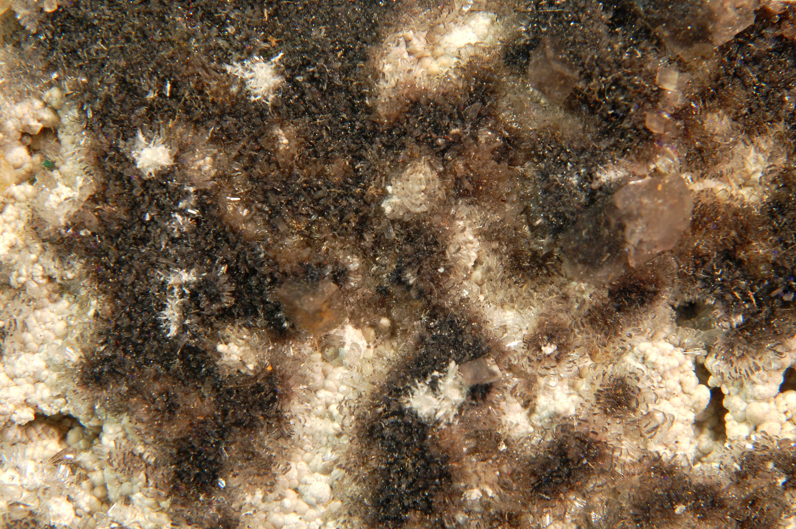 Hydrozincite, Plattnerite, Hemimorphite, Calcite
5.8 x 3.9 x 1.8 cm
(Autor: Michael Shaw)