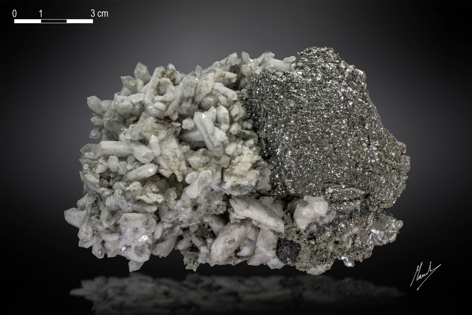 Löllingite and Quartz
129 x 85 mm
(Autor: Manuel Mesa)