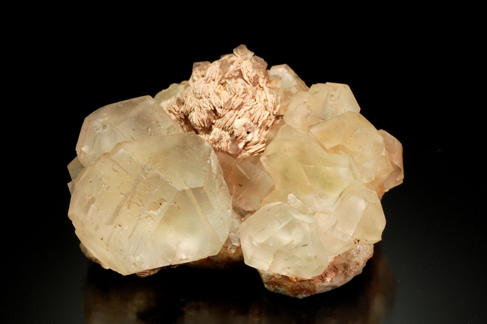 Fluorite
6.0 x 4.5 x 2.7 cm
(Autor: Michael Shaw)