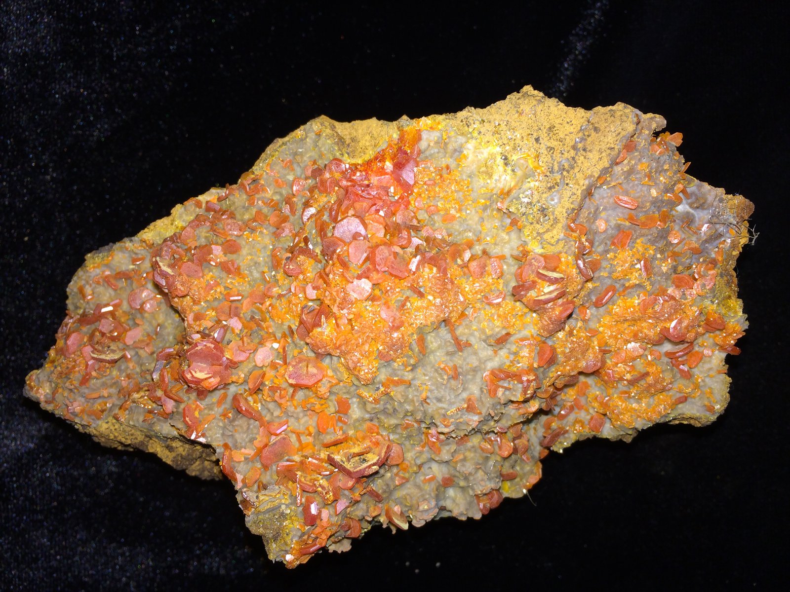 Wulfenite
133 mm x 80 mm x 65 mm
(Autor: Robert Seitz)