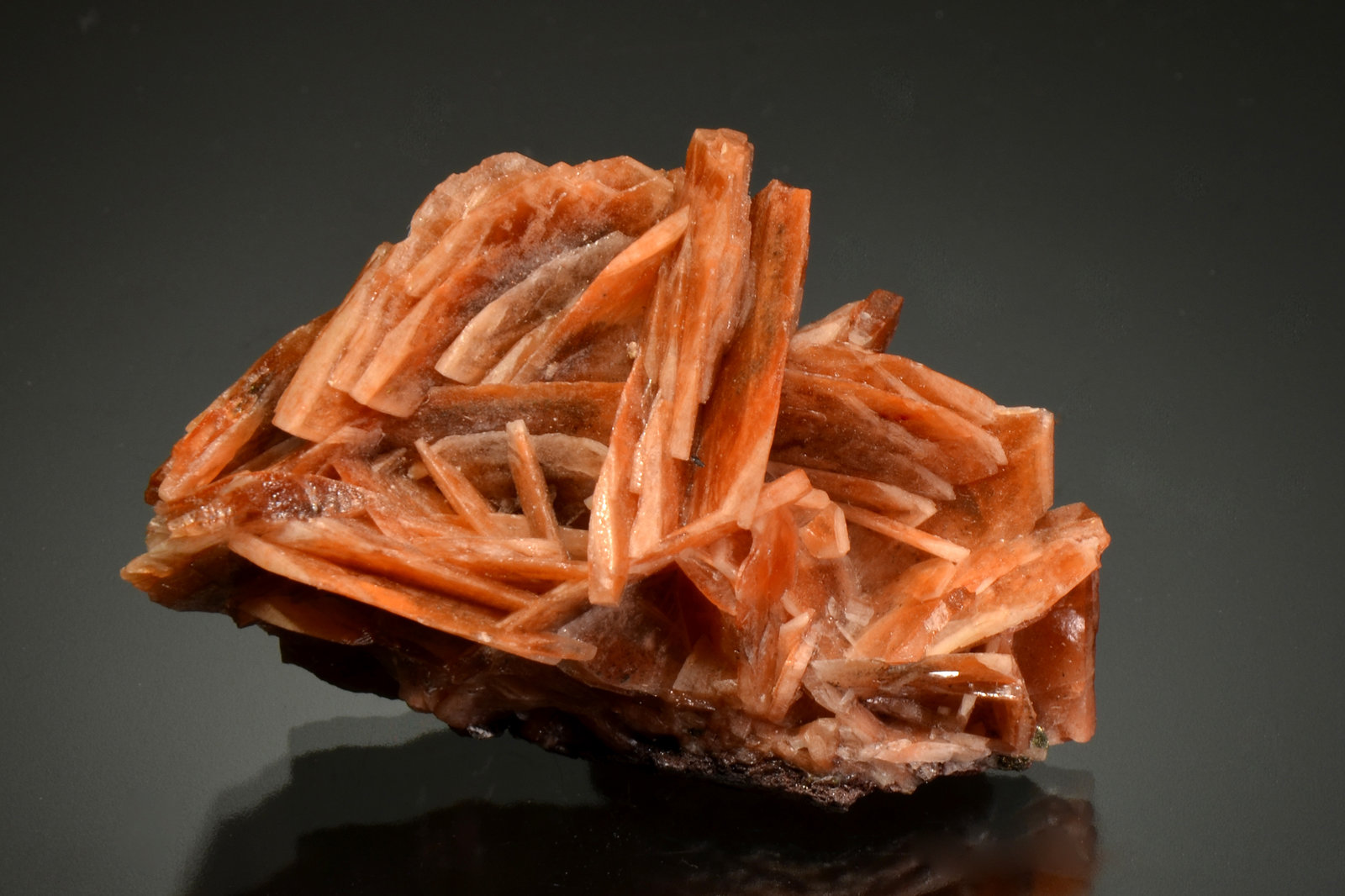 Barite
5.1 x 3.2 x 2.8 cm
(Autor: Michael Shaw)