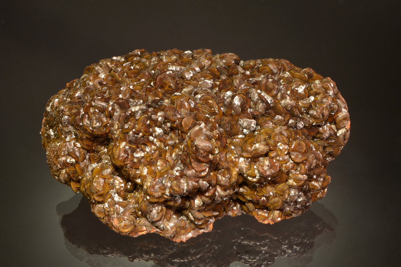 Siderite
Mina Herja, Chiuzbaia, Baia Sprie, Maramureș, Rumanía
9.0 x 6.0 x 2.0 cm
(Autor: Michael Shaw)