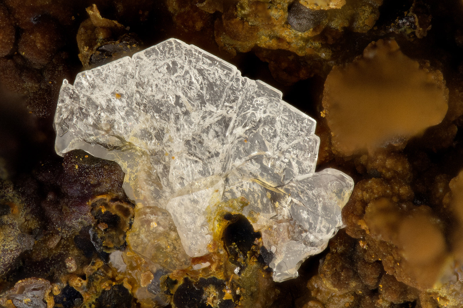 Baryte
FOV = 1.4 mm
(Autor: Doug)